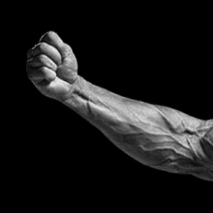 محصولات تقویت ساعد دست